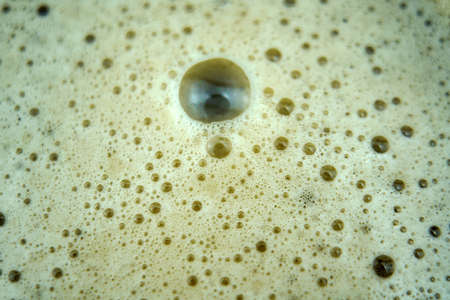 Full beer glass, A glass of cold beer macro photography, cool beer objectの写真素材