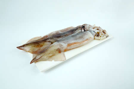 Fresh squid, Delicious squid isolated on color backgroundの写真素材
