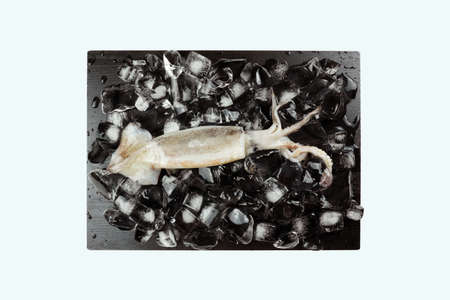 Fresh squid, Delicious squid isolated on color backgroundの写真素材