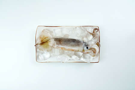 Fresh squid, Delicious squid isolated on color backgroundの写真素材