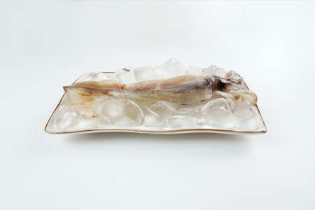 Fresh squid, Delicious squid isolated on color backgroundの写真素材