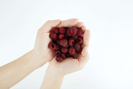 Fresh raspberry, Delicious raspberry isolated on color backgroundの写真素材