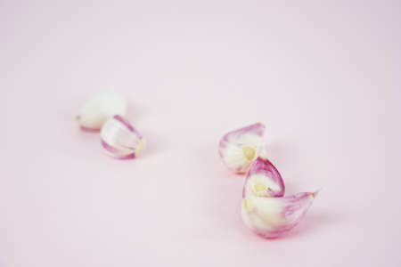 Fresh garlic, Delicious garlic isolated on color backgroundの写真素材