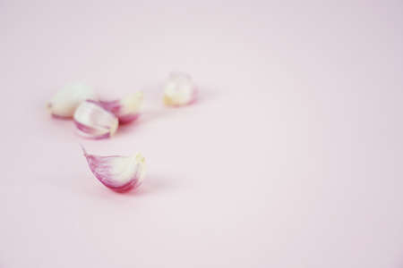 Fresh garlic, Delicious garlic isolated on color backgroundの写真素材