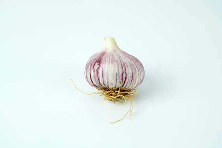 Fresh garlic, Delicious garlic isolated on color backgroundの写真素材