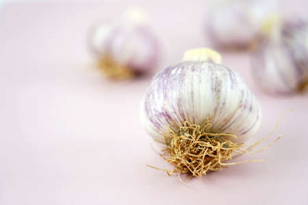 Fresh garlic, Delicious garlic isolated on color backgroundの写真素材