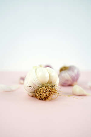 Fresh garlic, Delicious garlic isolated on color backgroundの写真素材