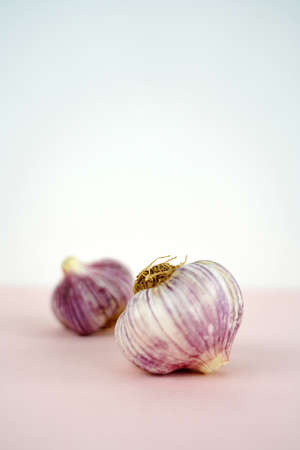 Fresh garlic, Delicious garlic isolated on color backgroundの写真素材