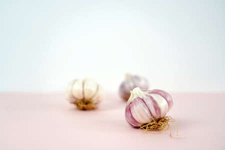 Fresh garlic, Delicious garlic isolated on color backgroundの写真素材