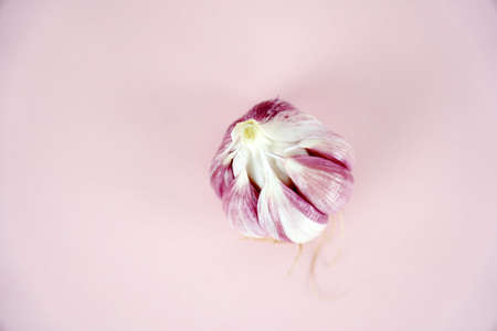 Fresh garlic, Delicious garlic isolated on color backgroundの写真素材