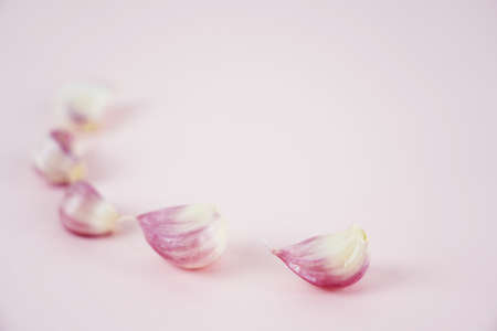 Fresh garlic, Delicious garlic isolated on color backgroundの写真素材