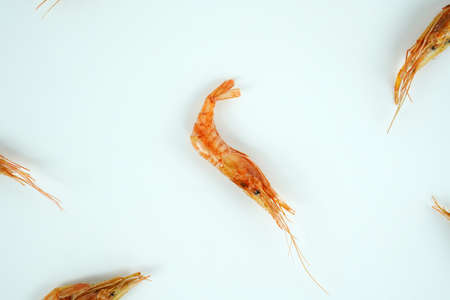 Dried shrimp object, dried shrimp isolated on white backgroundの写真素材