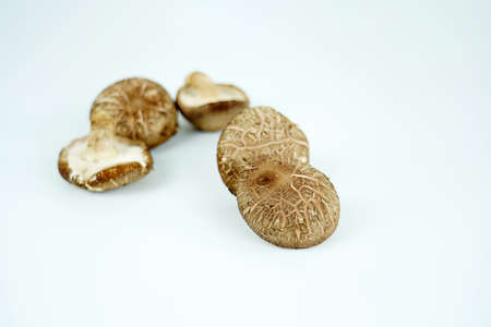 Fresh shiitake mushroom isolated,Dried mushrooms on white backgroundの写真素材
