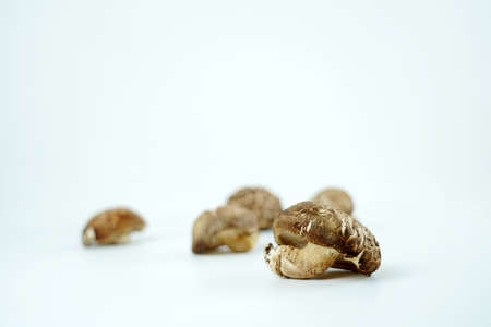 Fresh shiitake mushroom isolated,Dried mushrooms on white backgroundの写真素材