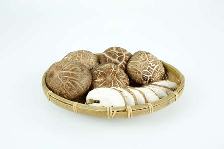 Fresh shiitake mushroom isolated,Dried mushrooms on white backgroundの写真素材
