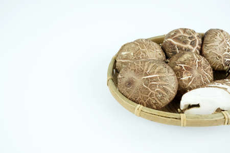 Fresh shiitake mushroom isolated,Dried mushrooms on white backgroundの写真素材