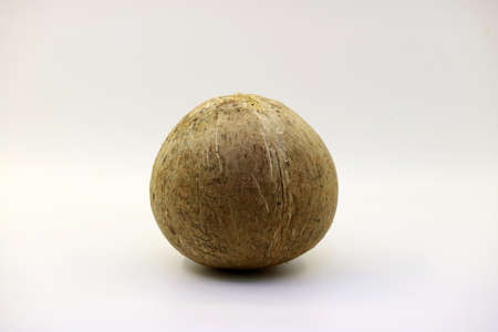 Tropical fruit coconut object