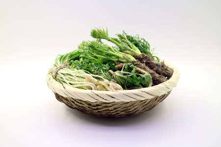 Fresh spring vegetablesの写真素材