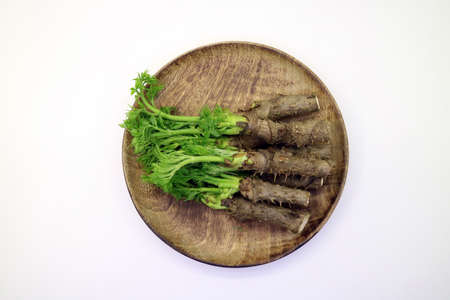 Fresh spring vegetablesの写真素材