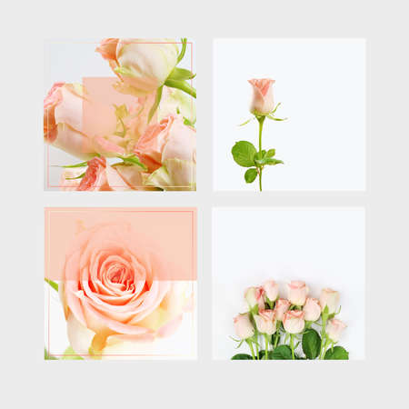 beautiful flower background, invitation card templateの写真素材