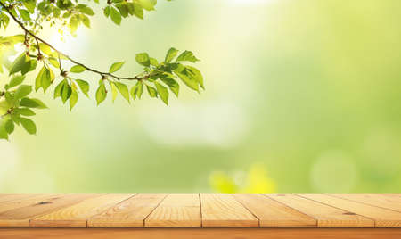 wooden table top with the nature landscape, spring green leafs as frame and free space for text