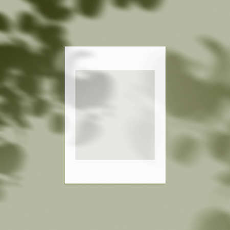 3d rendering, shadow overlay effect, various mock-upsの写真素材