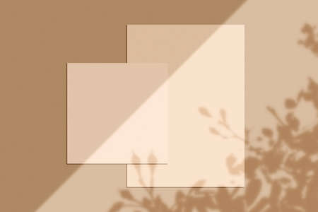 3d rendering, shadow overlay effect, various mock-upsの写真素材