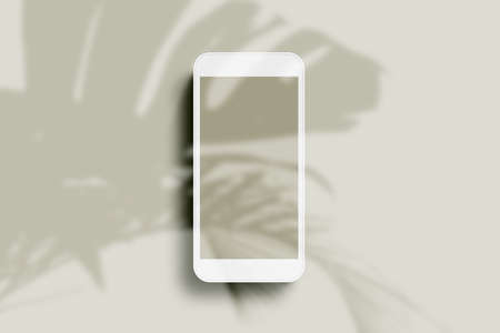 3d rendering, shadow overlay effect, various mock-upsの写真素材