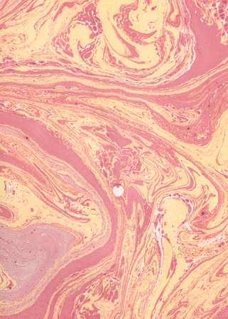 Decorative liquid marble texture. Abstract painting.の写真素材