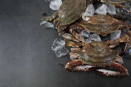 Fresh Crab isolated on white background,Seafood crab on iceの写真素材