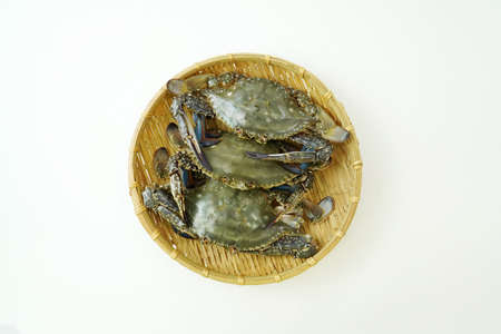 Fresh Crab isolated on white background,Seafood crab on iceの写真素材