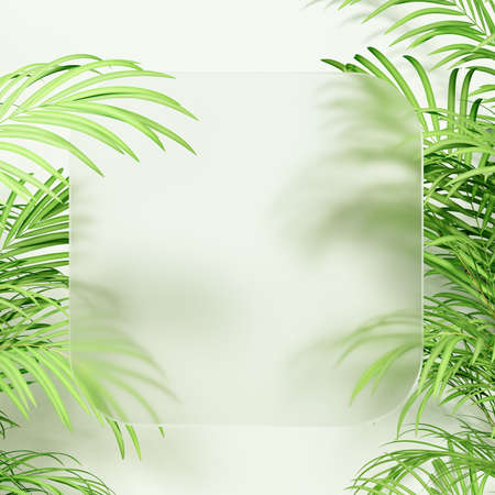 3d render summer background. modern Glass Morphism style.の写真素材