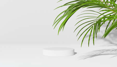 3D rendering Mock up summer podium for product design, minimal display. shadow overlay.の写真素材