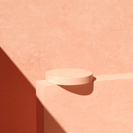 3D rendering Mock up geometric shape podium for product design, minimal display. shadow overlay.の写真素材