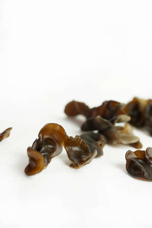 Fresh wood ear nushroom on white background,raw material for cooking. Close up.の写真素材