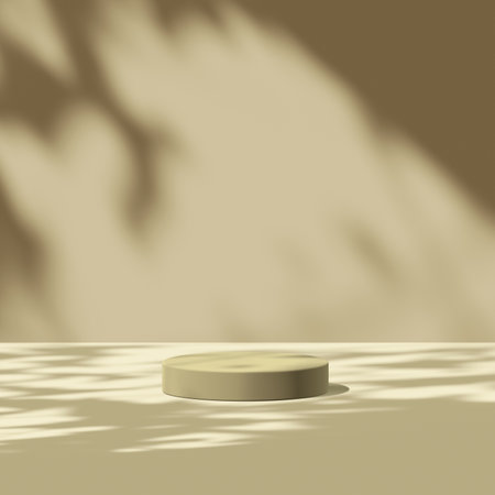 3d render Mockup, Natural Shadow Overlay Background.の写真素材