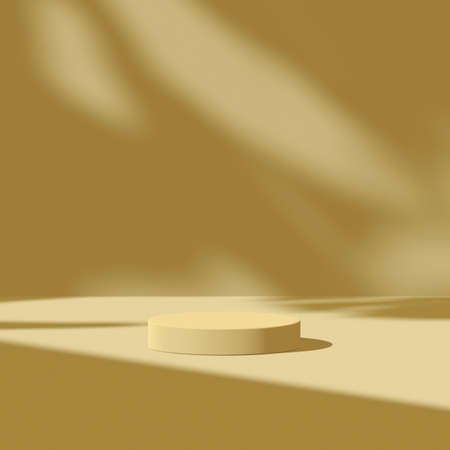 3d render Mockup, Natural Shadow Overlay Background.の写真素材