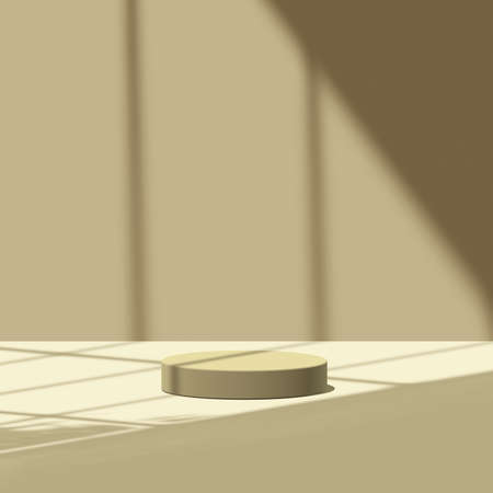 3d render Mockup, Natural Shadow Overlay Background.の写真素材