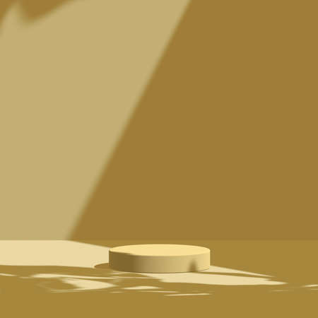 3d render Mockup, Natural Shadow Overlay Background.の写真素材