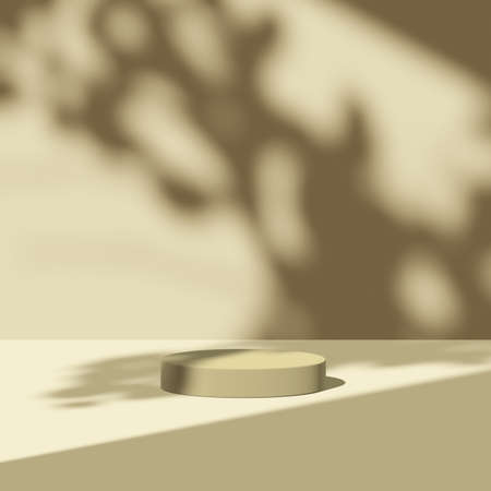 3d render Mockup, Natural Shadow Overlay Background.の写真素材