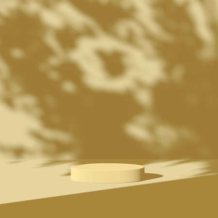 3d render Mockup, Natural Shadow Overlay Background.の写真素材