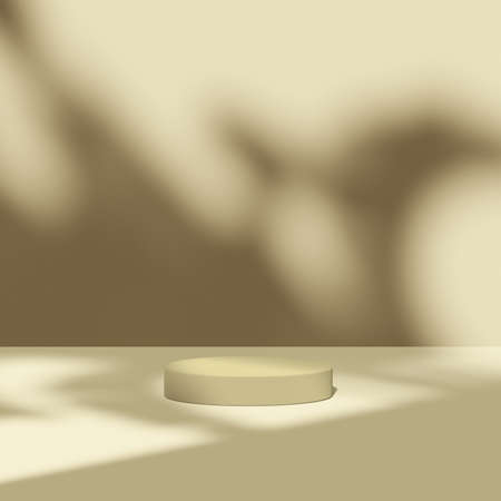3d render Mockup, Natural Shadow Overlay Background.の写真素材