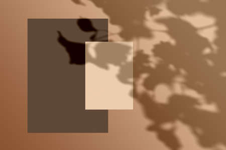 Mockup background with natural shadows, shadow overlay
