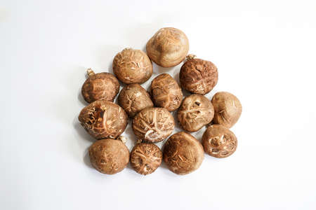 Fresh shiitake mushroom isolated,Dried mushrooms on white backgroundの写真素材