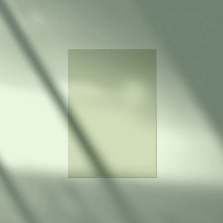 3d rendering, shadow overlay effect, various mockups.の写真素材