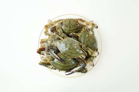 Fresh Crab isolated on white background,Seafood crab on iceの写真素材