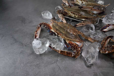 Fresh Crab isolated on white background,Seafood crab on iceの写真素材