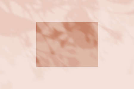 3d rendering, shadow overlay effect, various mock-upsの写真素材