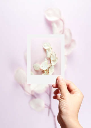 autumn background, autumn frame & objectの写真素材