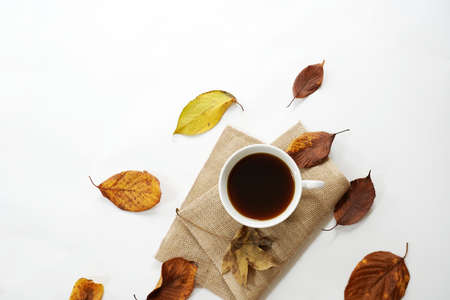 brown roasted coffee beans and coffee cupの写真素材